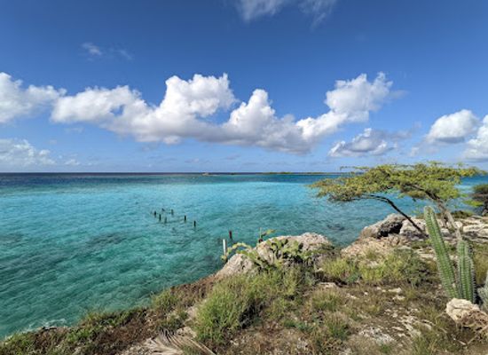 aruba/savaneta/landmark/mangel-halto-beach