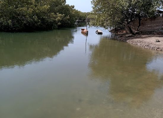 the-gambia/sami/landmark/abuko-nature-reserve