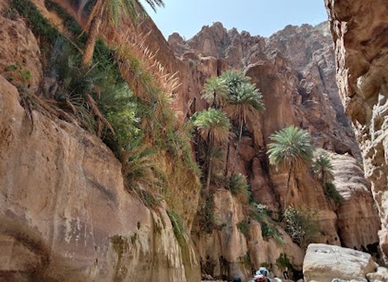 jordan/tafileh-highlands/landmark/wadi-ghuweir-trail-start
