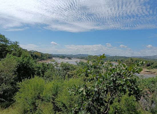 malawi/chiradzulu-highlands/landmark/majete-wildlife-reserve