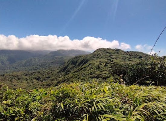 costa-rica/monteverde/landmark/parqueo-reserva-monteverde-cloud-forest