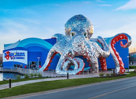 missouri/branson/landmark/aquarium-at-the-boardwalk