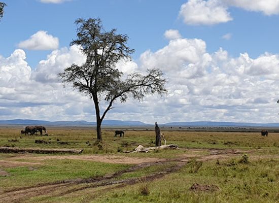 tanzania/rift-valley/landmark/mara-triangle