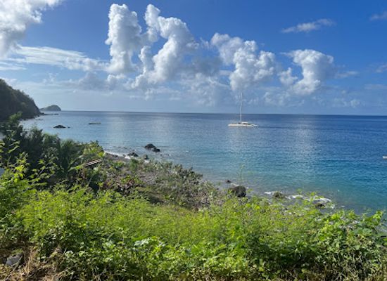 dominica/champagne-reef/landmark/champagne-reef-dominica