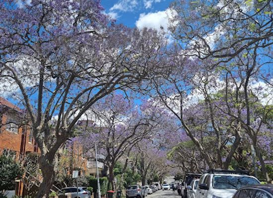 australia/sydney-basin/landmark/milson-park