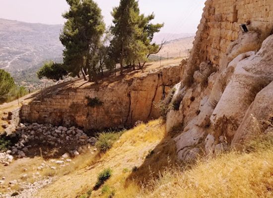 jordan/northern-jordan-valley/landmark/ajloun-castle