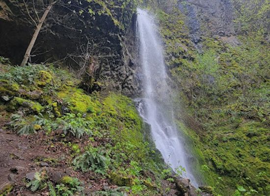 oregon/cascade-mountains/landmark/cabin-creek-falls