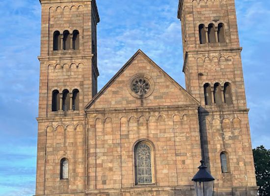 denmark/viborg/landmark/viborg-cathedral
