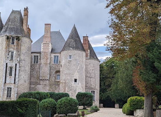 france/centre-val-de-loire/landmark/chateau-de-meung-sur-loire