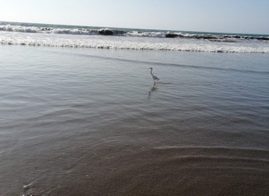 chile/coquimbo-region/landmark/penuelas