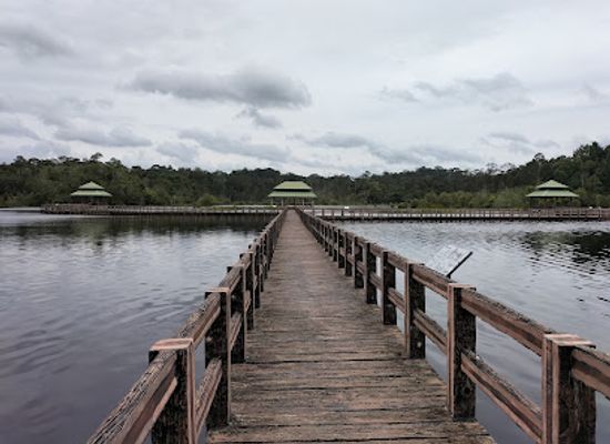 brunei/belait-district/landmark/labi-forest-reserve