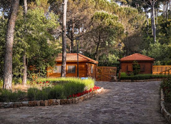 lebanon/jezzine/landmark/la-maison-de-la-foret