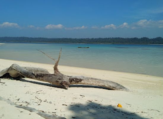 india/andaman-and-nicobar-islands/landmark/flat-island-wildlife-sanctuary
