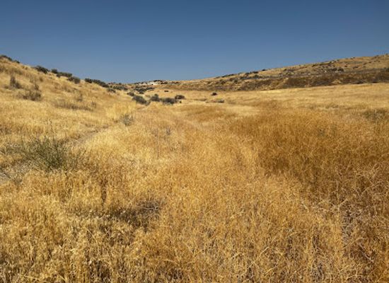 oregon/portland-metropolitan-area/landmark/keeney-pass-interpretive-site