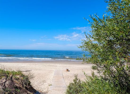 lithuania/lithuanian-seaside/landmark/karkles-papludimys