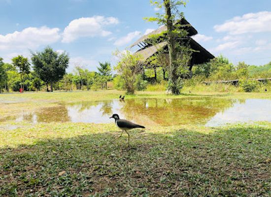 sri-lanka/wet-zone/landmark/diyasaru-park