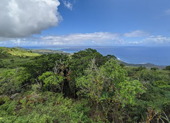 guam/mount-jumullong-manglo/landmark/mount-lamlam-summit