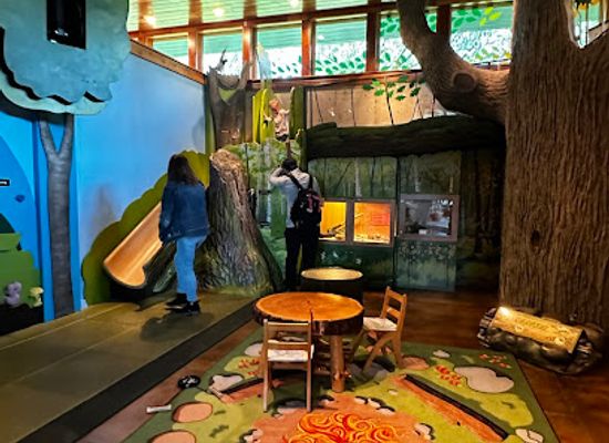 wisconsin/lake-superior-lowland/landmark/cable-natural-history-museum