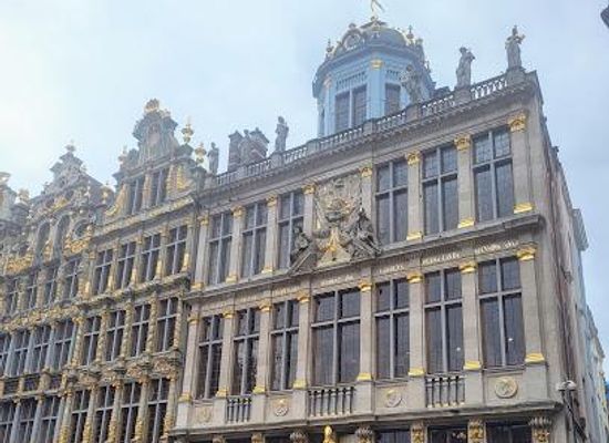 belgium/brussels-capital-region/landmark/grand-place-4
