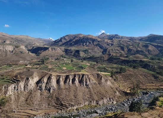 peru/moquegua/landmark/colca-canyon-trekking-edgar
