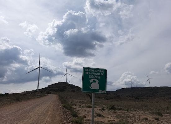 mexico/los-altos-de-jalisco/landmark/parque-eolico-los-altos