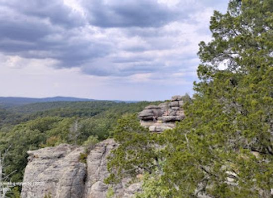 illinois/little-egypt/landmark/shawnee-national-forest