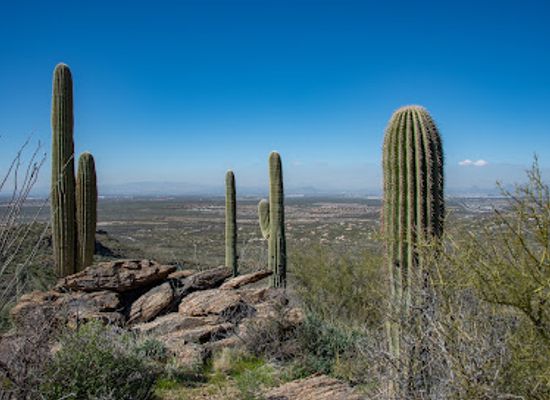 arizona/tucson/landmark/rincon-mountain-visitor-center