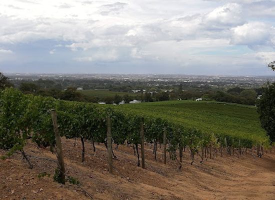 south-africa/cape-town/landmark/groot-constantia-bath