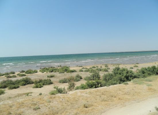 uzbekistan/aydarkul-lake/landmark/aydarkul