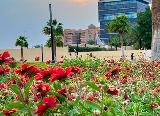 saudi-arabia/eastern-province/landmark/sahat-al-kornish