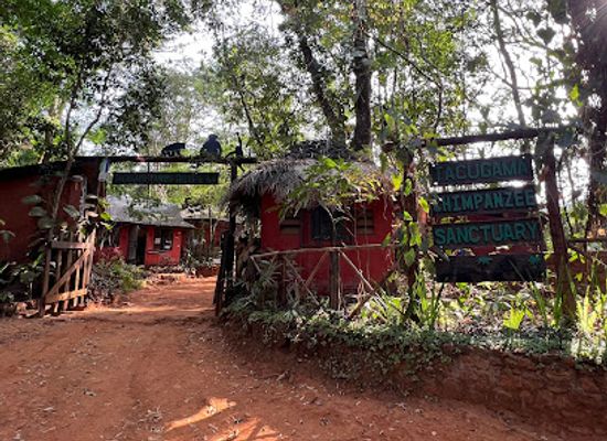 sierra-leone/pujehun/landmark/tacugama-chimpanzee-sanctuary