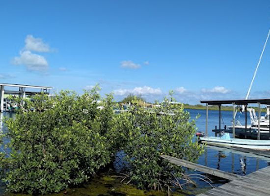 honduras/utila/landmark/coral-view-dive-center