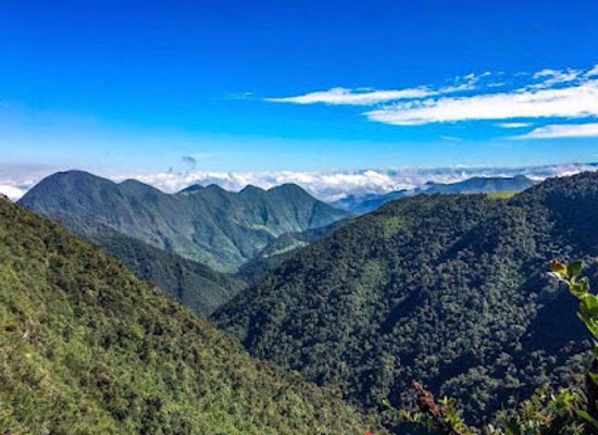 ecuador/mindo-cloud-forest/landmark/casa-verde-raw-hiking-yoga-retreats-in-ecuador