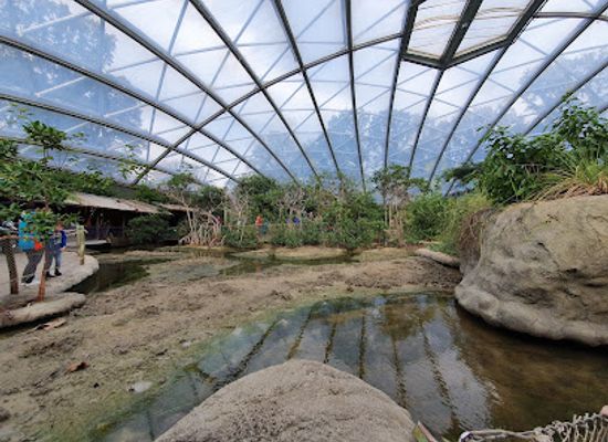 netherlands/veluwe/landmark/burgers-zoo