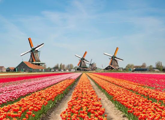 netherlands/bollenstreek/landmark/keukenhof
