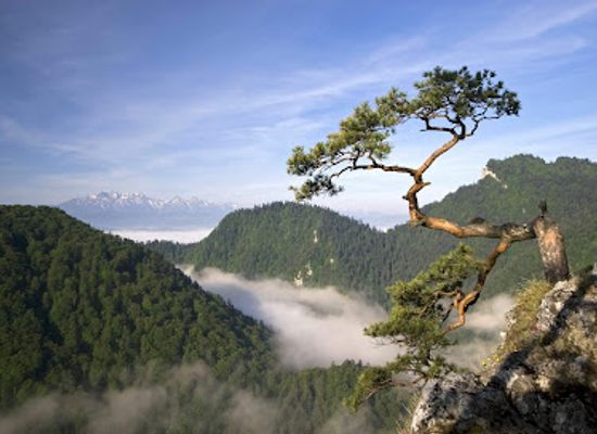 poland/pieniny-mountains/landmark/pieninski-park-narodowy