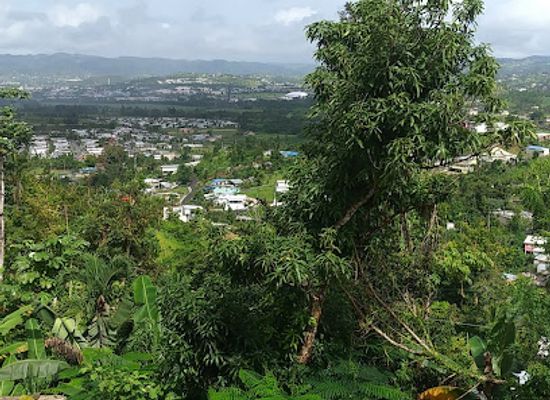 puerto-rico/sierra-de-cayey/landmark/terra-cayey