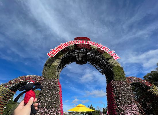 vietnam/dalat/landmark/vuon-hoa-thanh-pho-da-lat