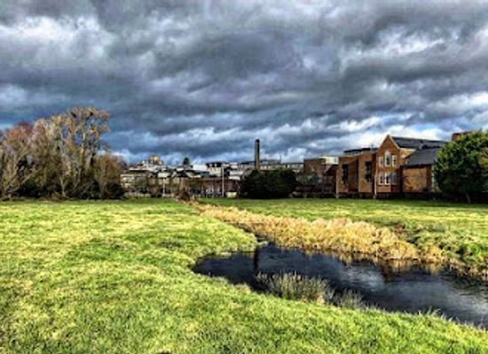 united-kingdom/cambridge/newnham/landmark/coe-fen