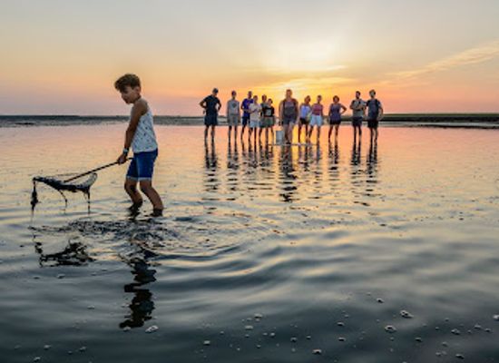 netherlands/wadden-islands/landmark/startlocatie-wadexcursie-waddenvereniging-terschelling