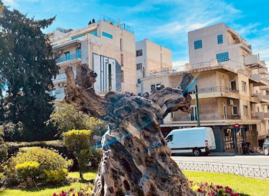 greece/athens/landmark/old-olive-tree