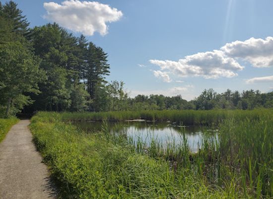 connecticut/the-quiet-corner/landmark/white-memorial-conservation-center
