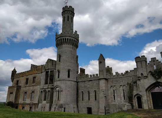 ireland/county-carlow/landmark/duckett-s-grove