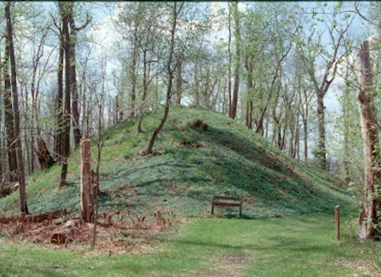 minnesota/lake-of-the-woods/landmark/grand-mound-historic-site