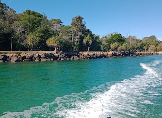 australia/noosa/landmark/doggy-beach