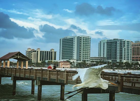 florida/clearwater/landmark/sunsets-at-pier-60