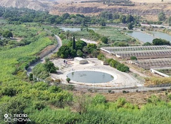 jordan/umm-qais/landmark/gadara-cycling