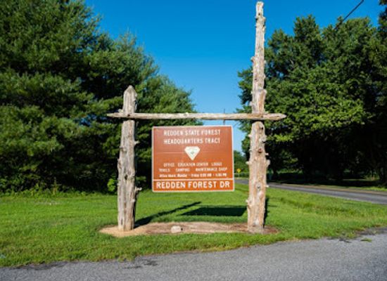 delaware/sussex-county/landmark/redden-state-forest