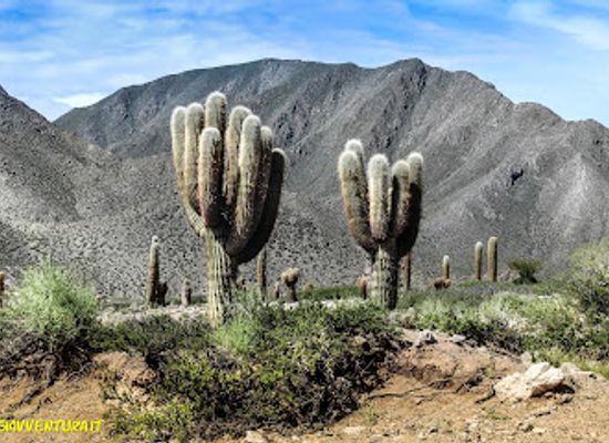 argentina/salta-province/landmark/james-turrell-museum-bodega-colome