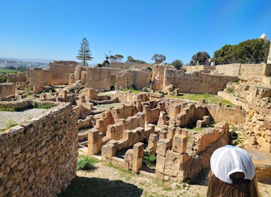 tunisia/southern-tunisia/landmark/quartier-punique-de-byrsa